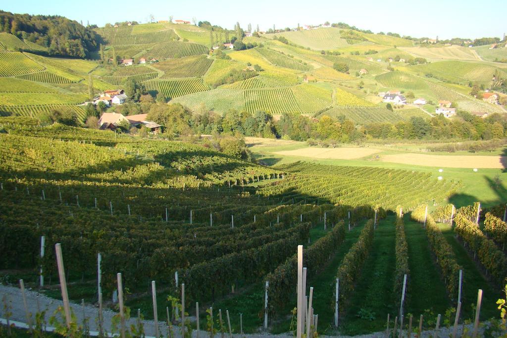 Farm Stay Jarc Vineyard Svecina Eksteriør billede