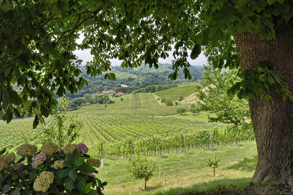 Farm Stay Jarc Vineyard Svecina Eksteriør billede