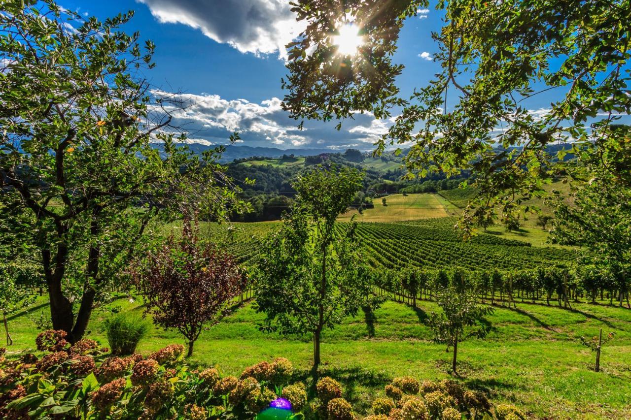 Farm Stay Jarc Vineyard Svecina Eksteriør billede
